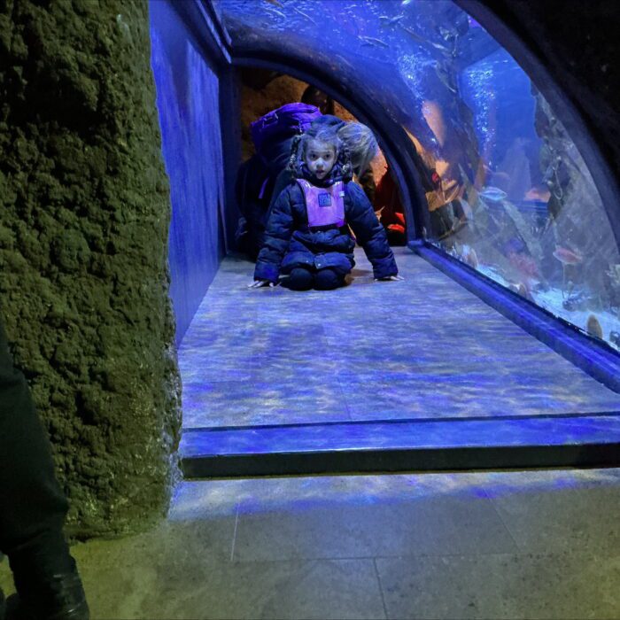 🌊 Making a splash in Gold Class! 🌊