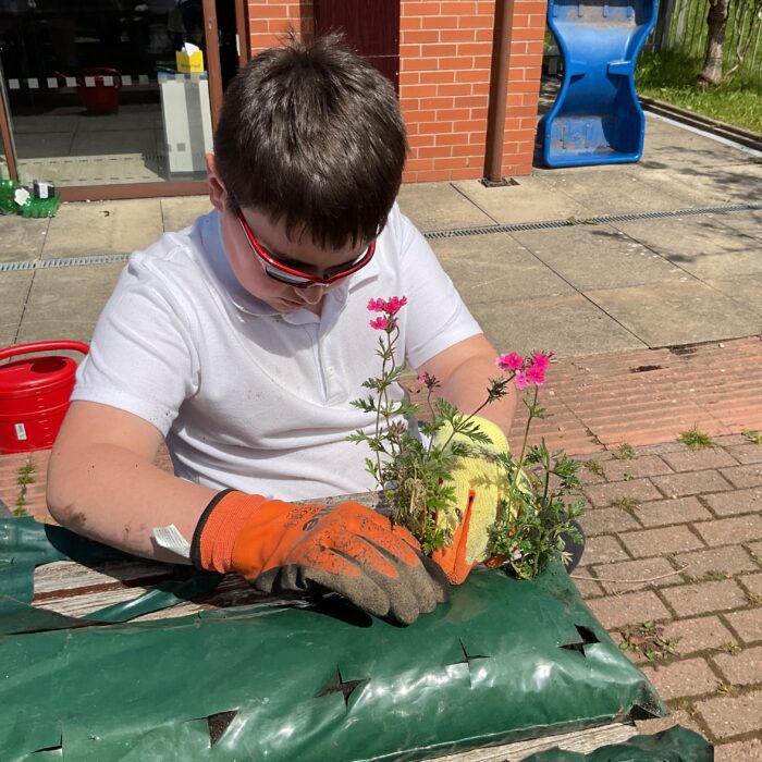 🌻🌳♻️Looking after the environment in Blue Class 🌻🌳♻️