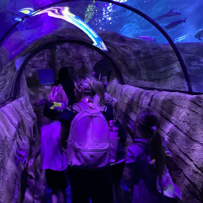 Green Class Trip to SEA LIFE Blackpool