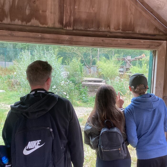 Pink Class Enjoy a Wild Adventure at Blackpool Zoo